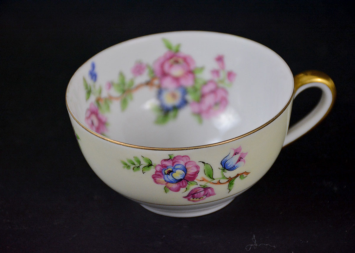 Rare Vintage Patterns Thun Czechoslovakia China