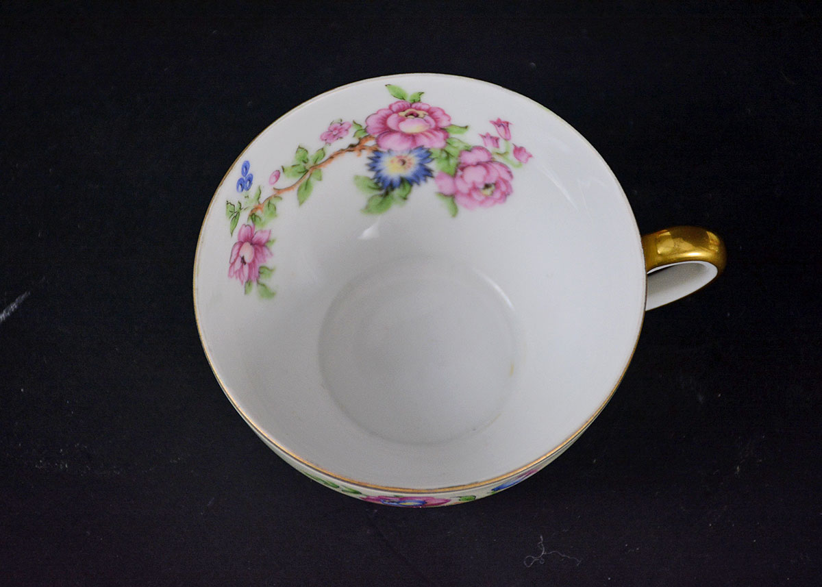 Rare Vintage Patterns Thun Czechoslovakia China