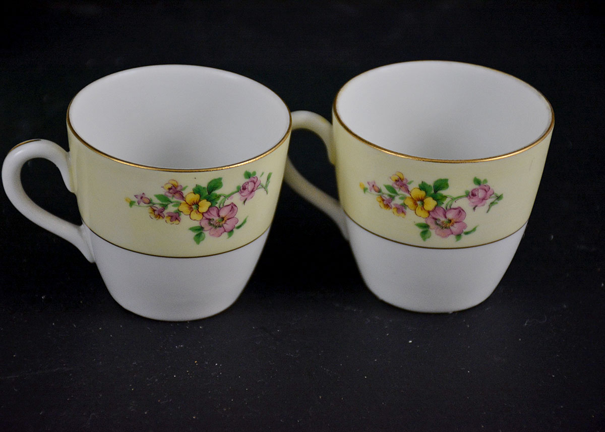 Rare Vintage Patterns Thun Czechoslovakia China