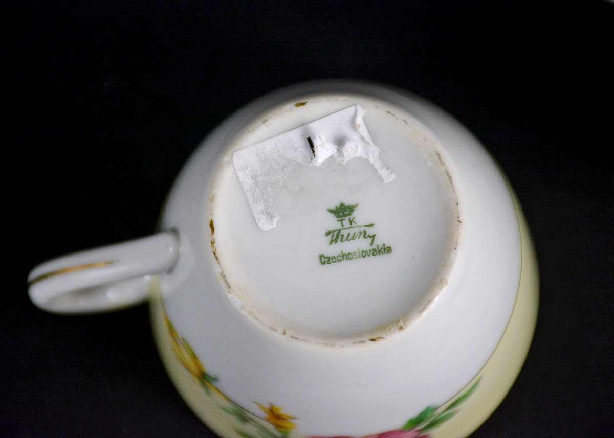 Rare Vintage Patterns Thun Czechoslovakia China