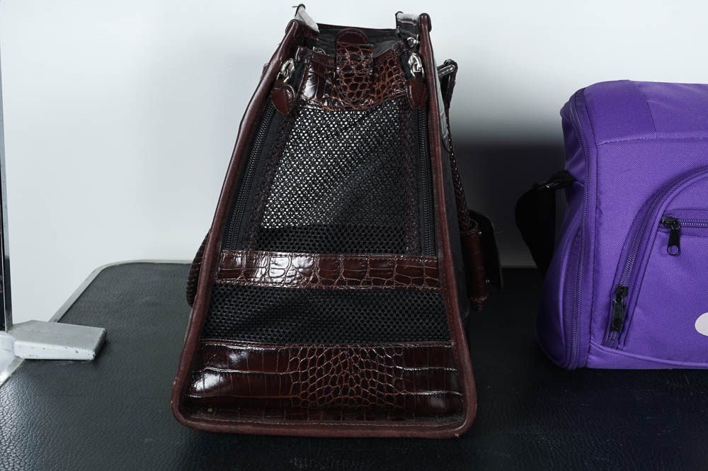 Pet Grooming Table and Kit with Brighton Pet Purse