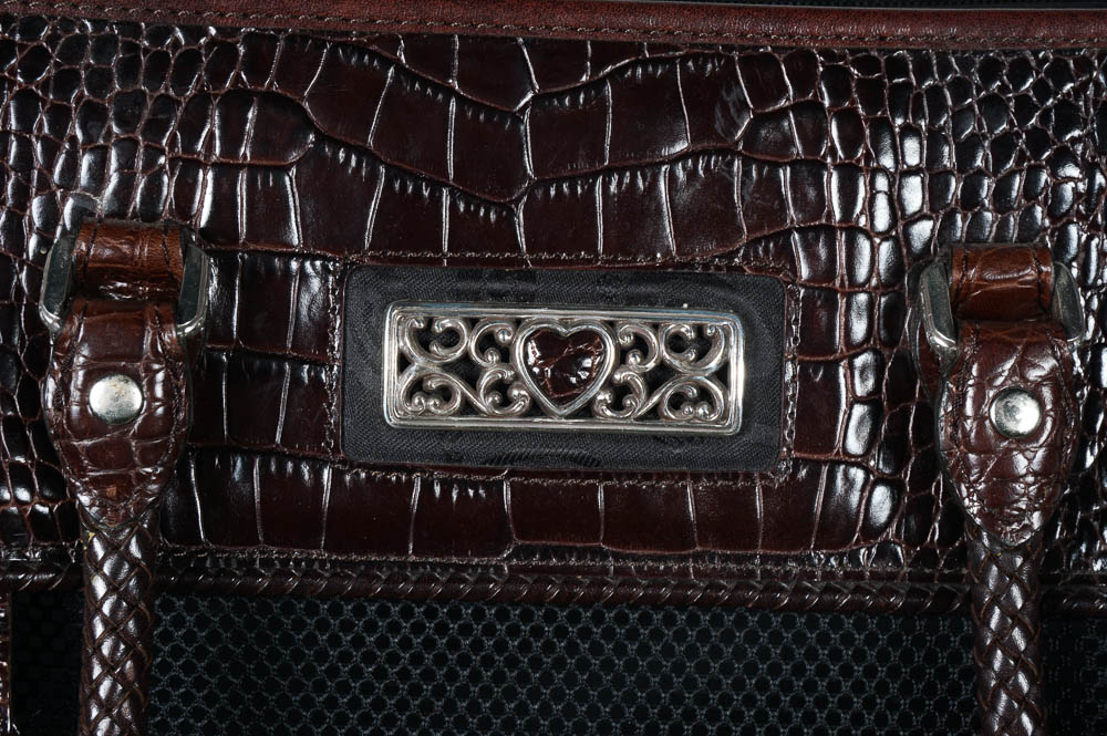 Pet Grooming Table and Kit with Brighton Pet Purse