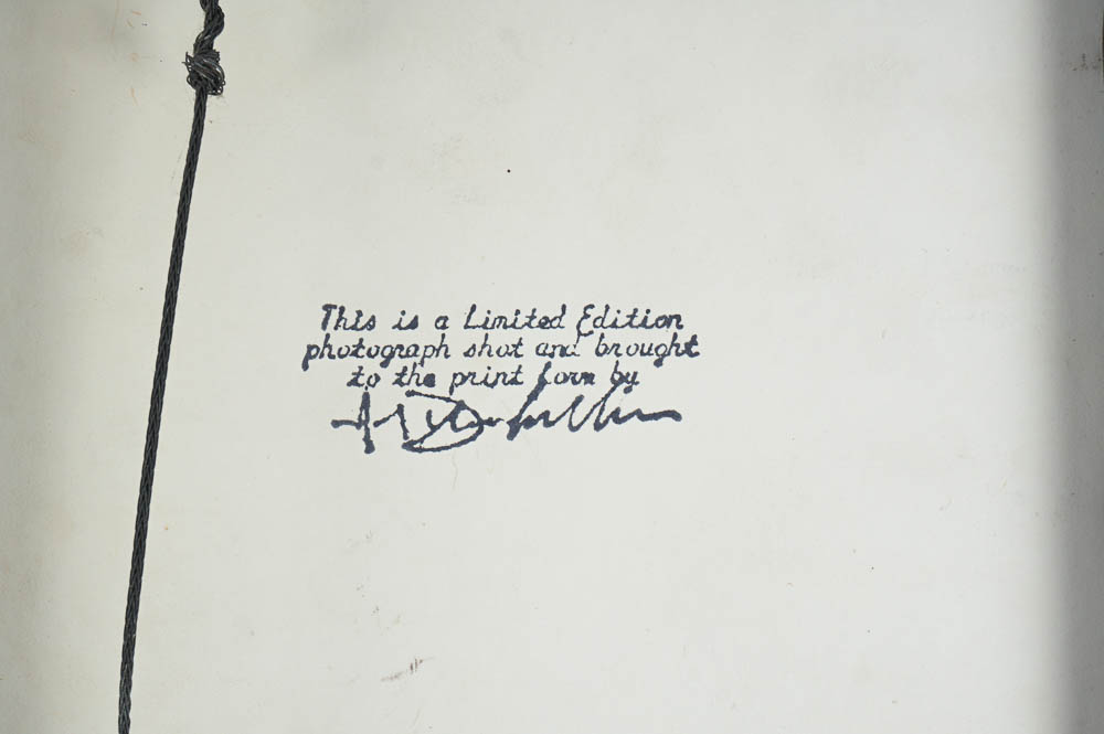 Vegetable Themed Wall Art Trio