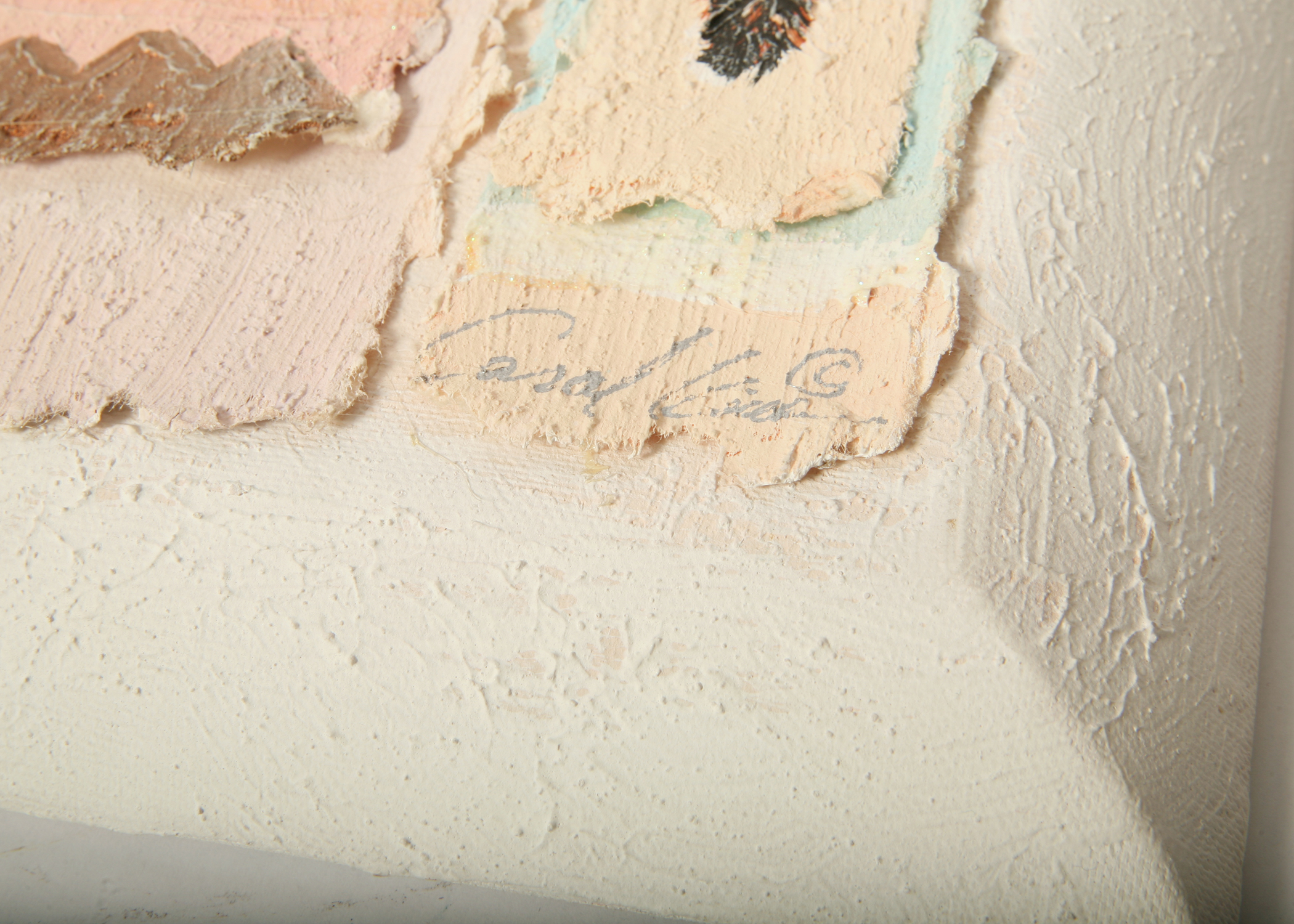 Signed Carol Kim Mixed Media Art on Canvas