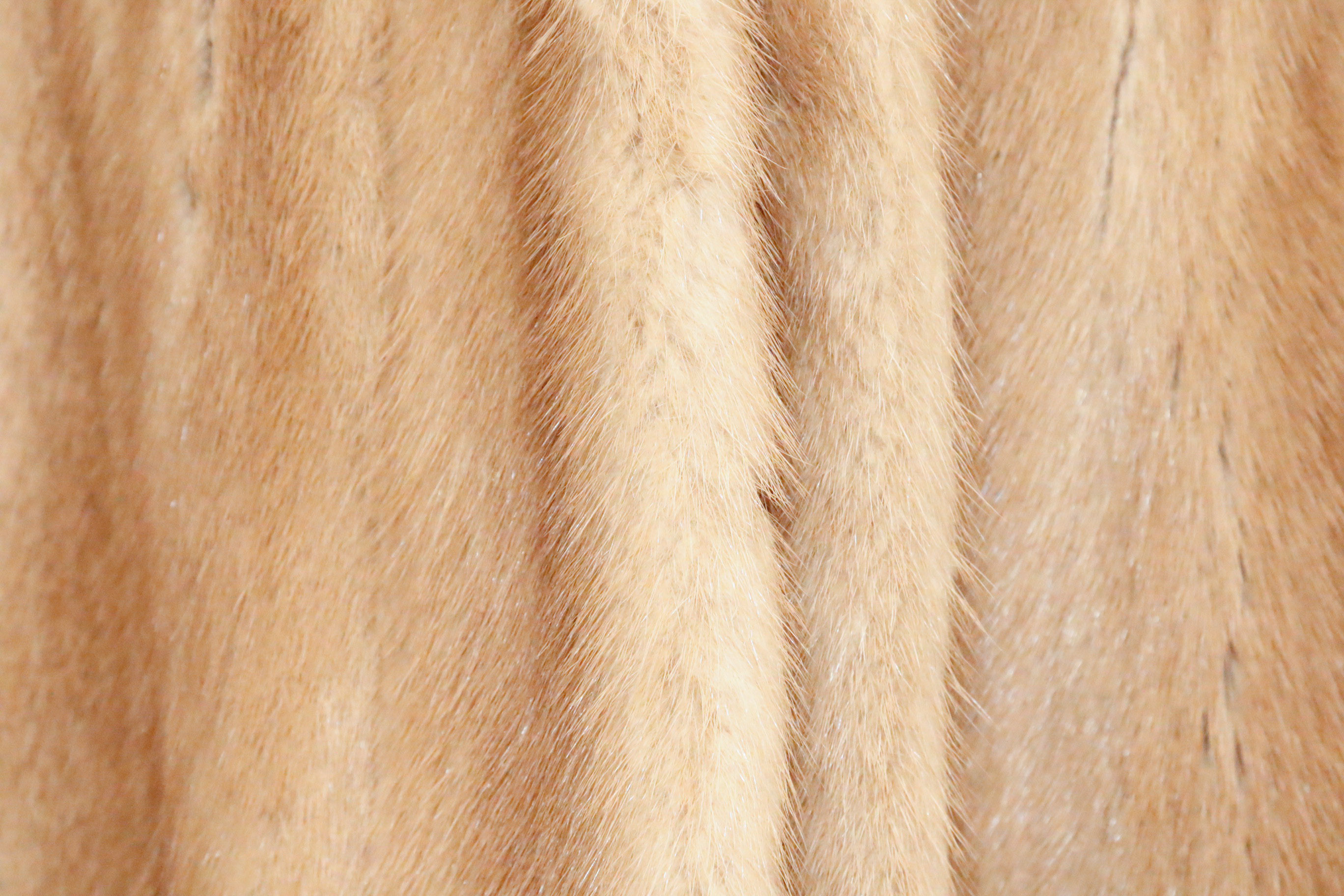 Chester Weinberg Pastel Mink Fur Coat with Coyote Trim