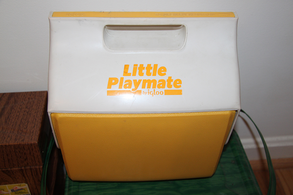 Travel Carrying Cases