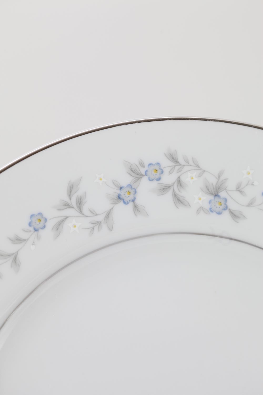 Vintage "Forget Me Not" Dinnerware