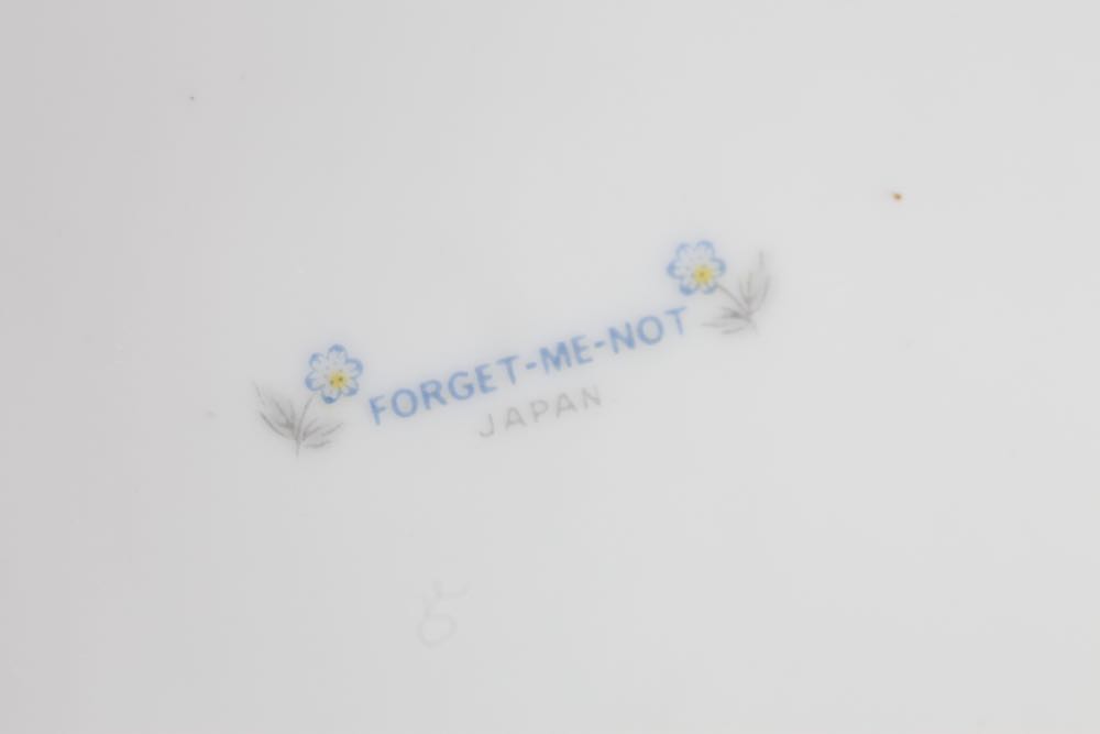 Vintage "Forget Me Not" Dinnerware