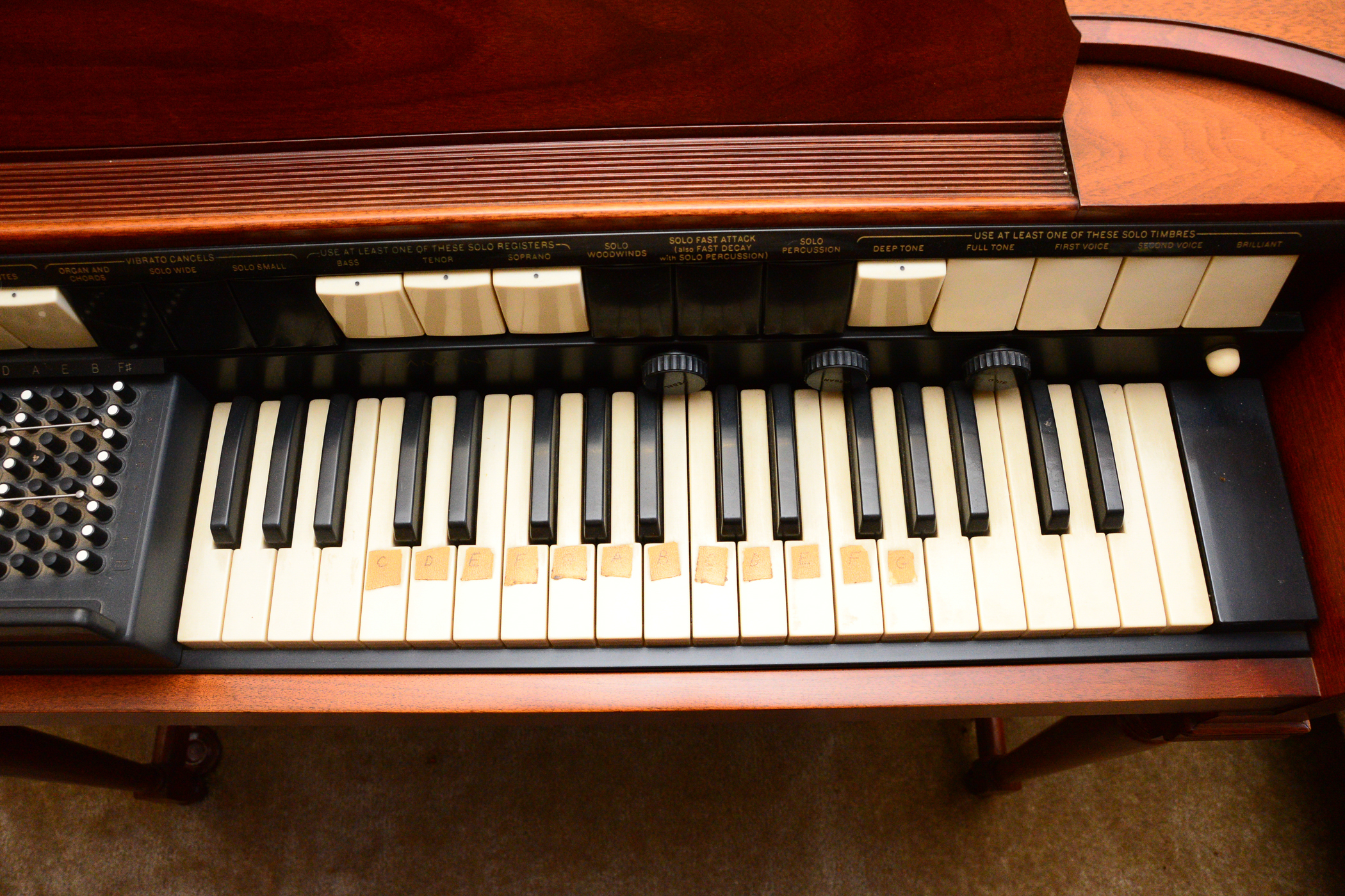 Hammond Chord Organ