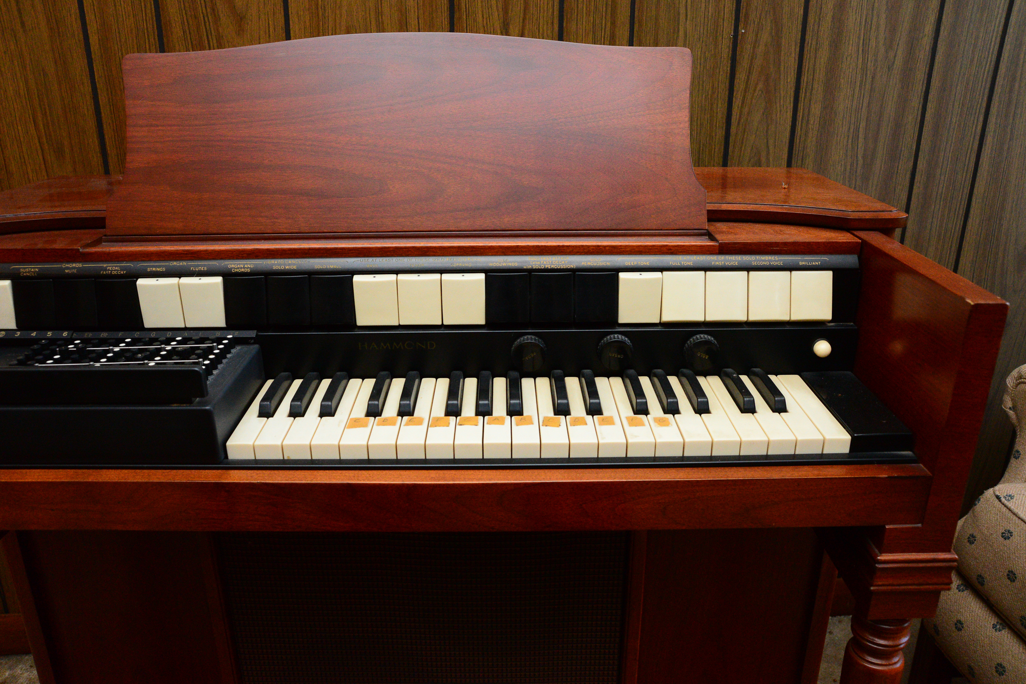 Hammond Chord Organ