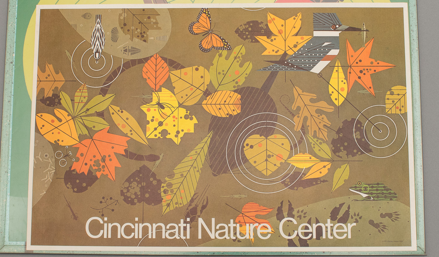 Group of Charley Harper and Cincinnati Posters
