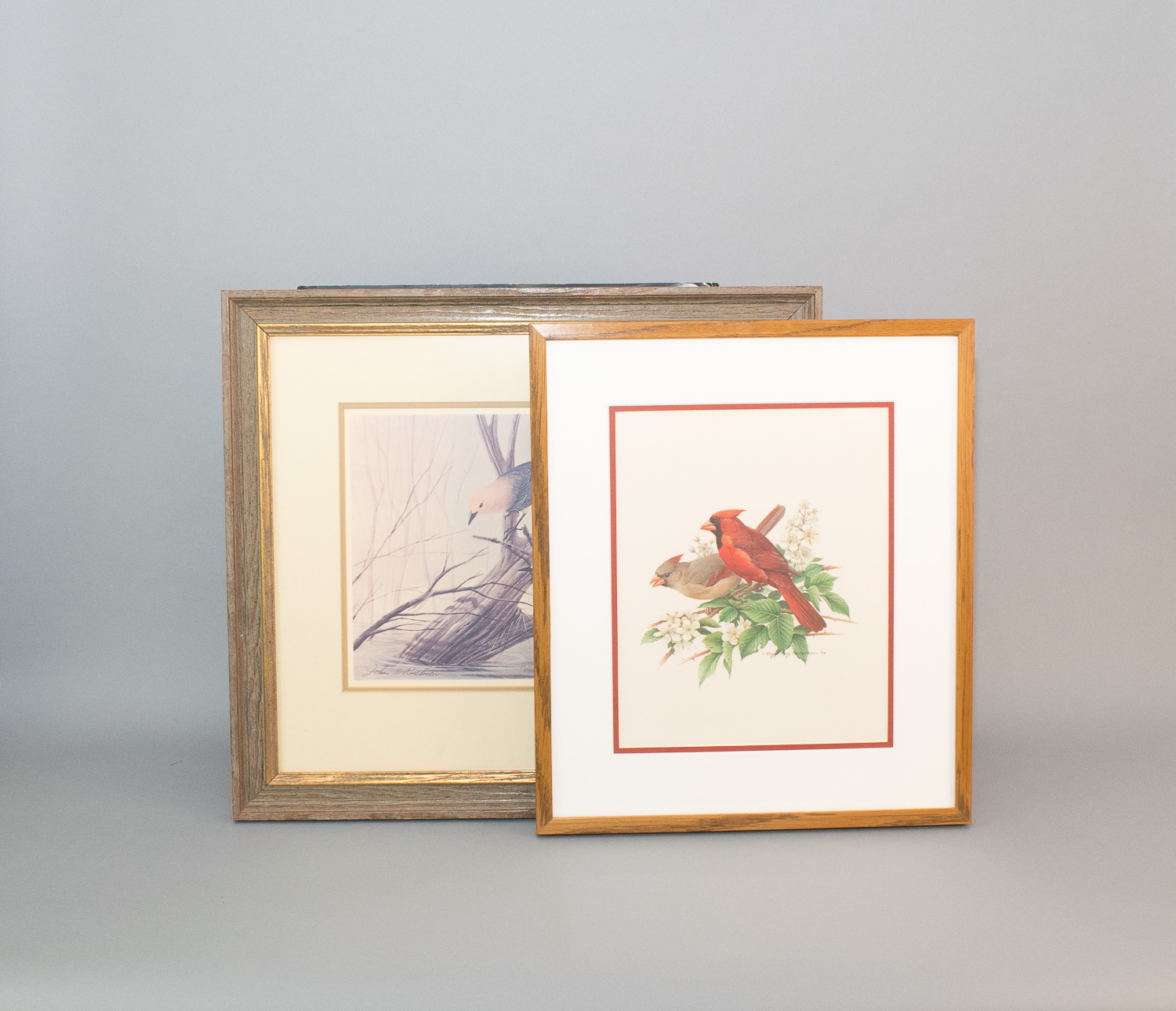 John J. Audubon Posters and John Ruthven Print