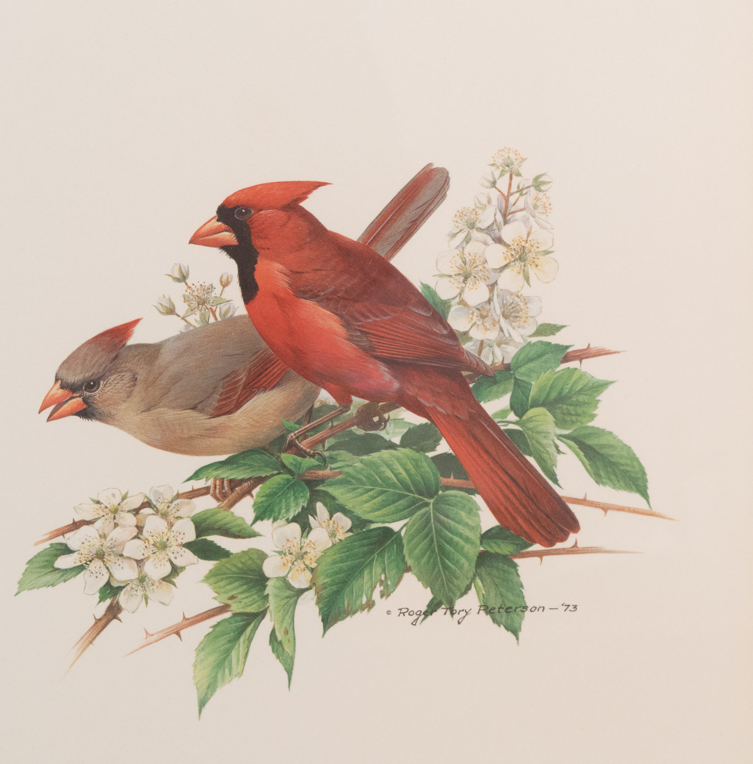 John J. Audubon Posters and John Ruthven Print