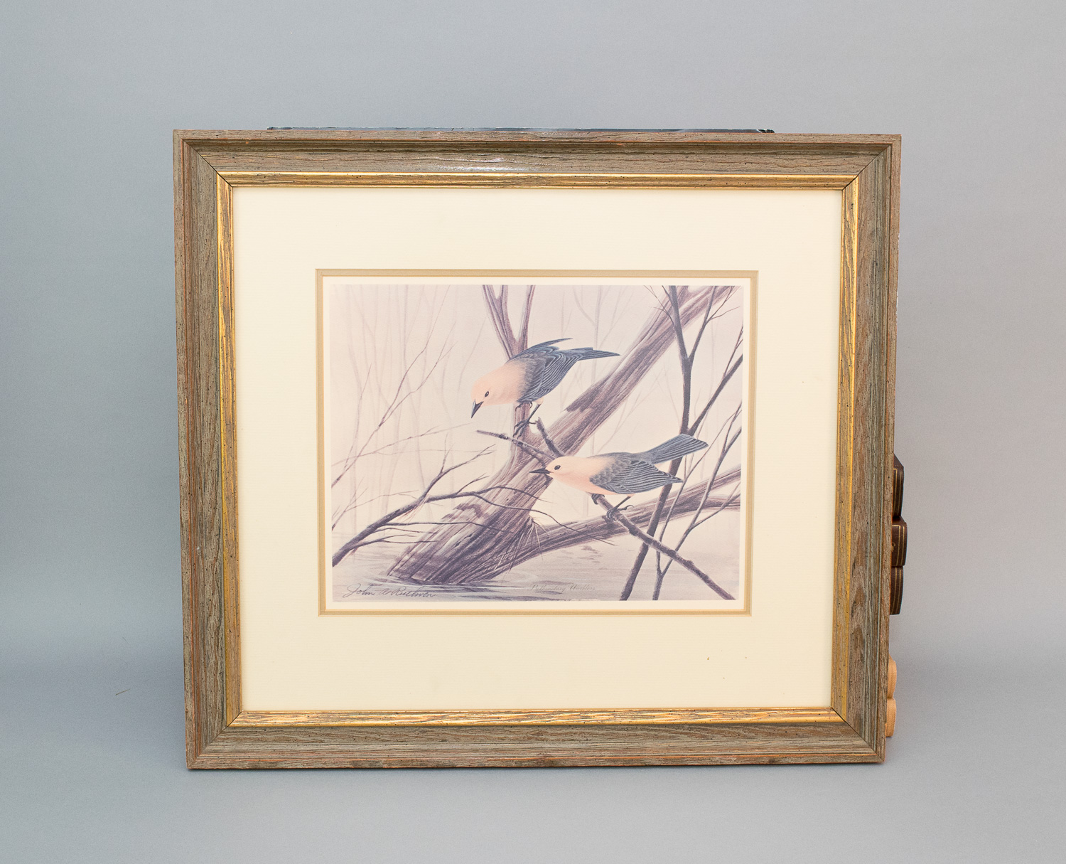 John J. Audubon Posters and John Ruthven Print