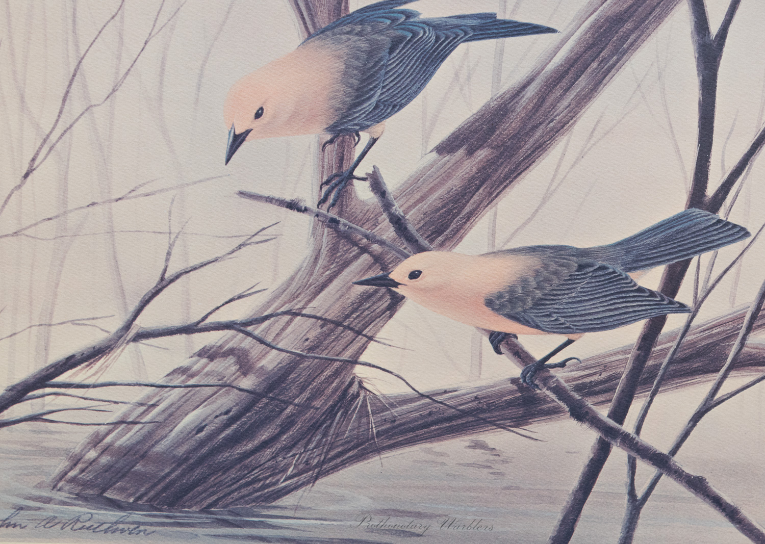 John J. Audubon Posters and John Ruthven Print