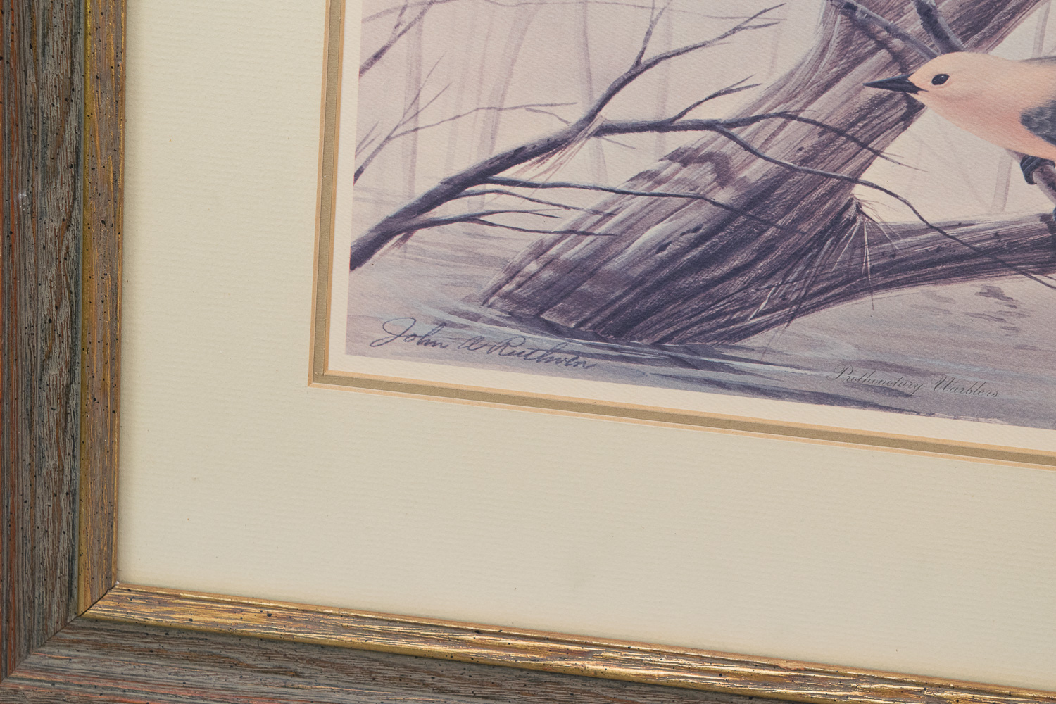 John J. Audubon Posters and John Ruthven Print