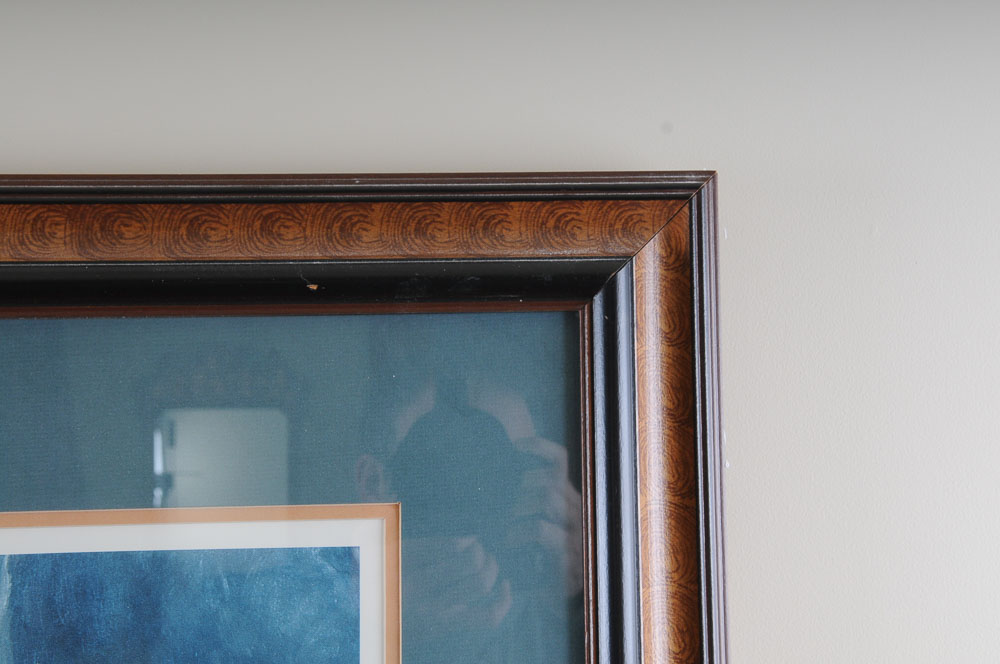 Framed Print of Girl and Dog