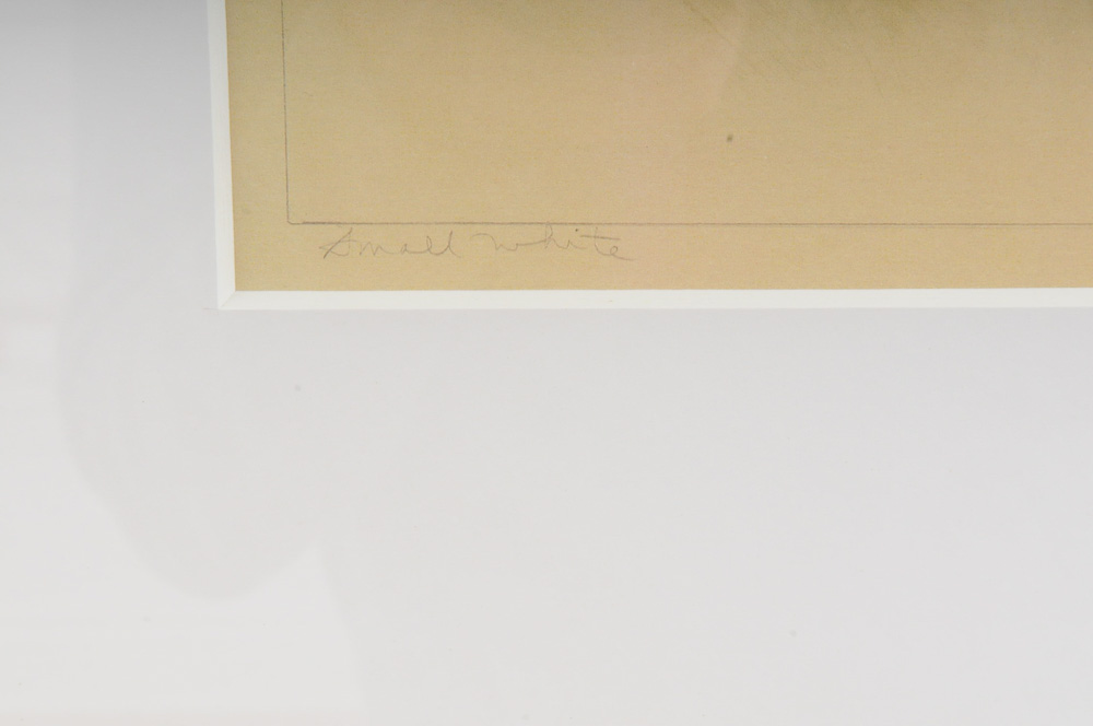 Signed Watercolor Butterfly Prints