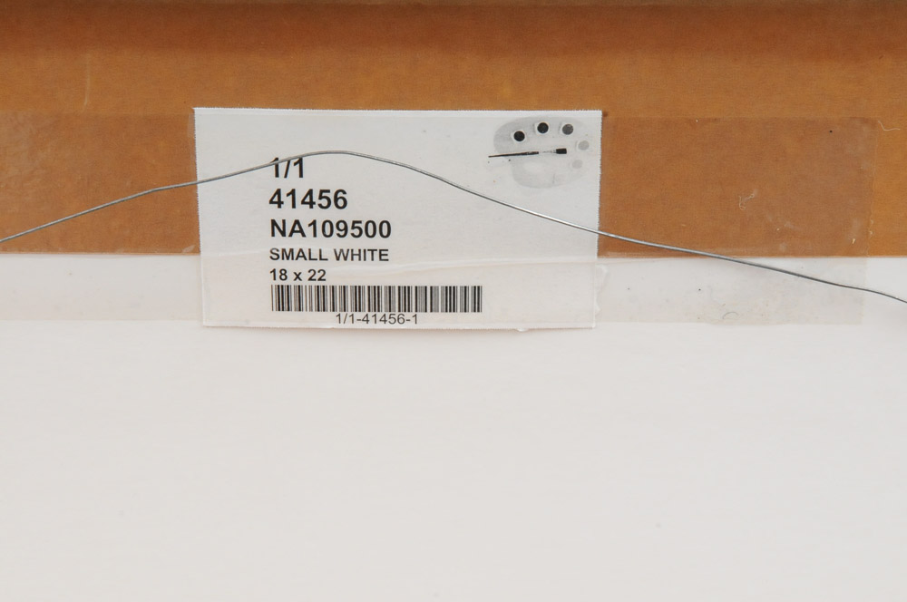 Signed Watercolor Butterfly Prints