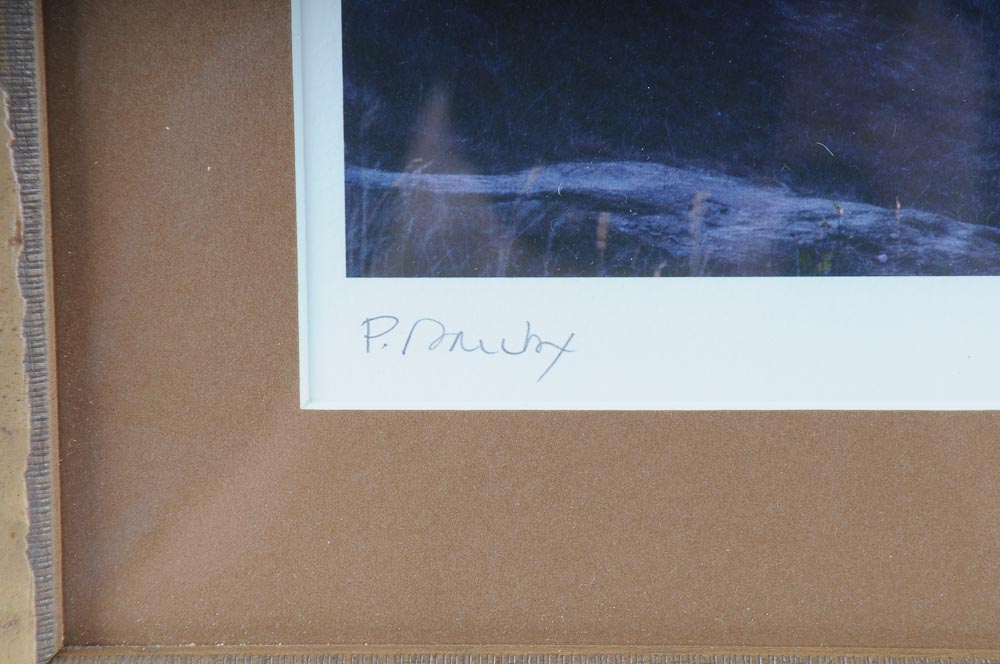 Whistling Straits Course Golf Framed Print