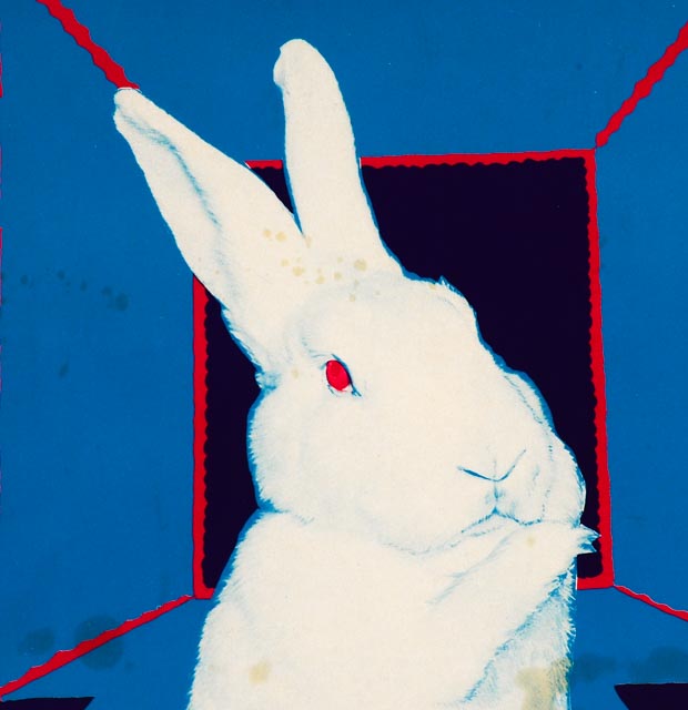 Group of Vintage 1960s Posters and Wall Decoration