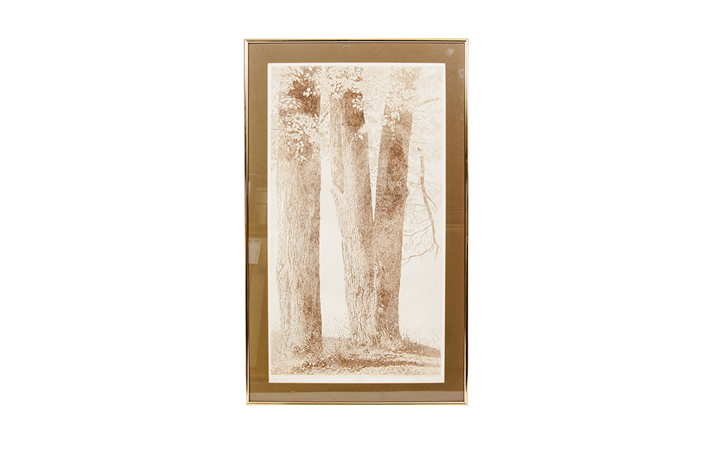 Michael Volpe "Early Fall"  Etching