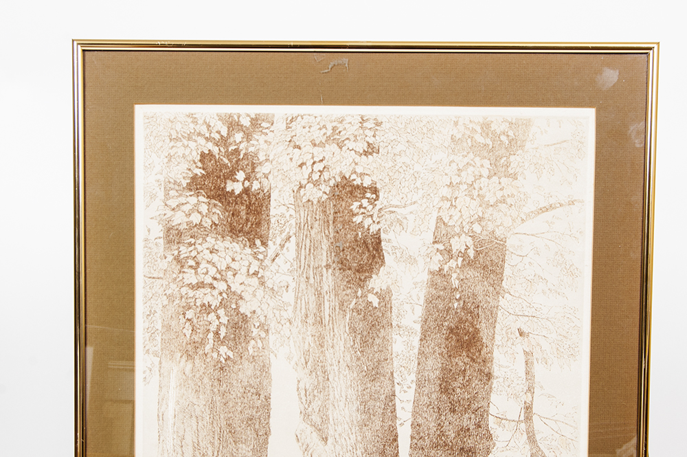 Michael Volpe "Early Fall"  Etching