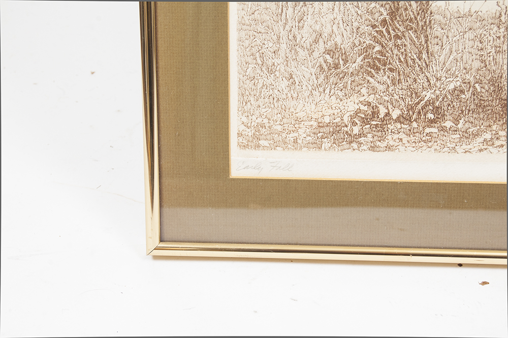 Michael Volpe "Early Fall"  Etching