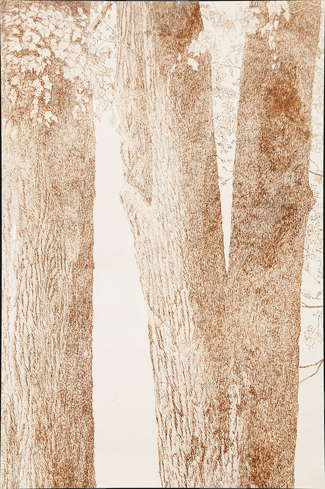 Michael Volpe "Early Fall"  Etching