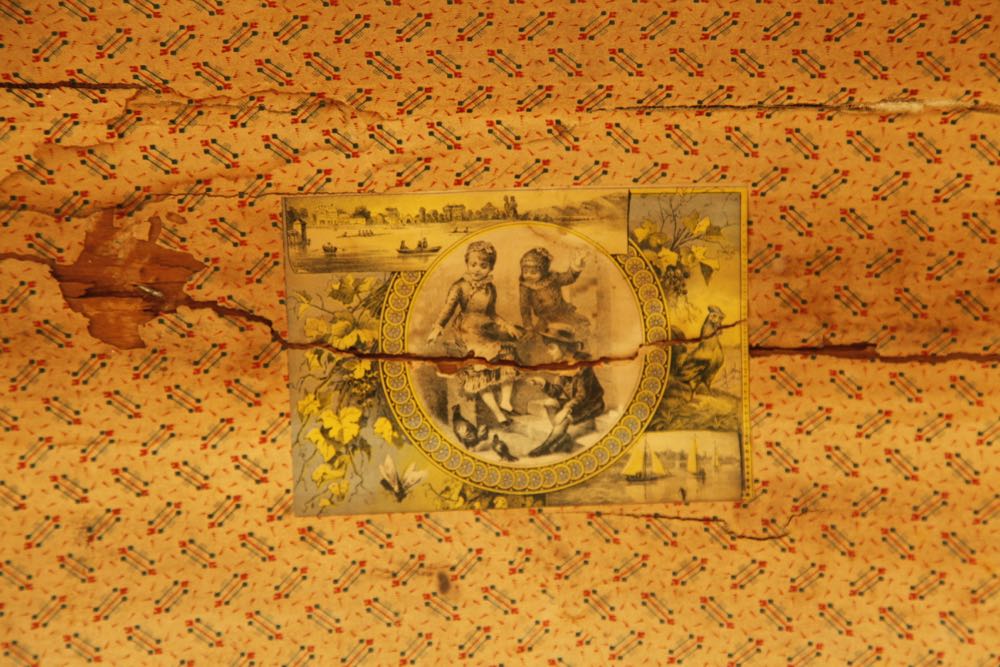 Green Camelback Trunk