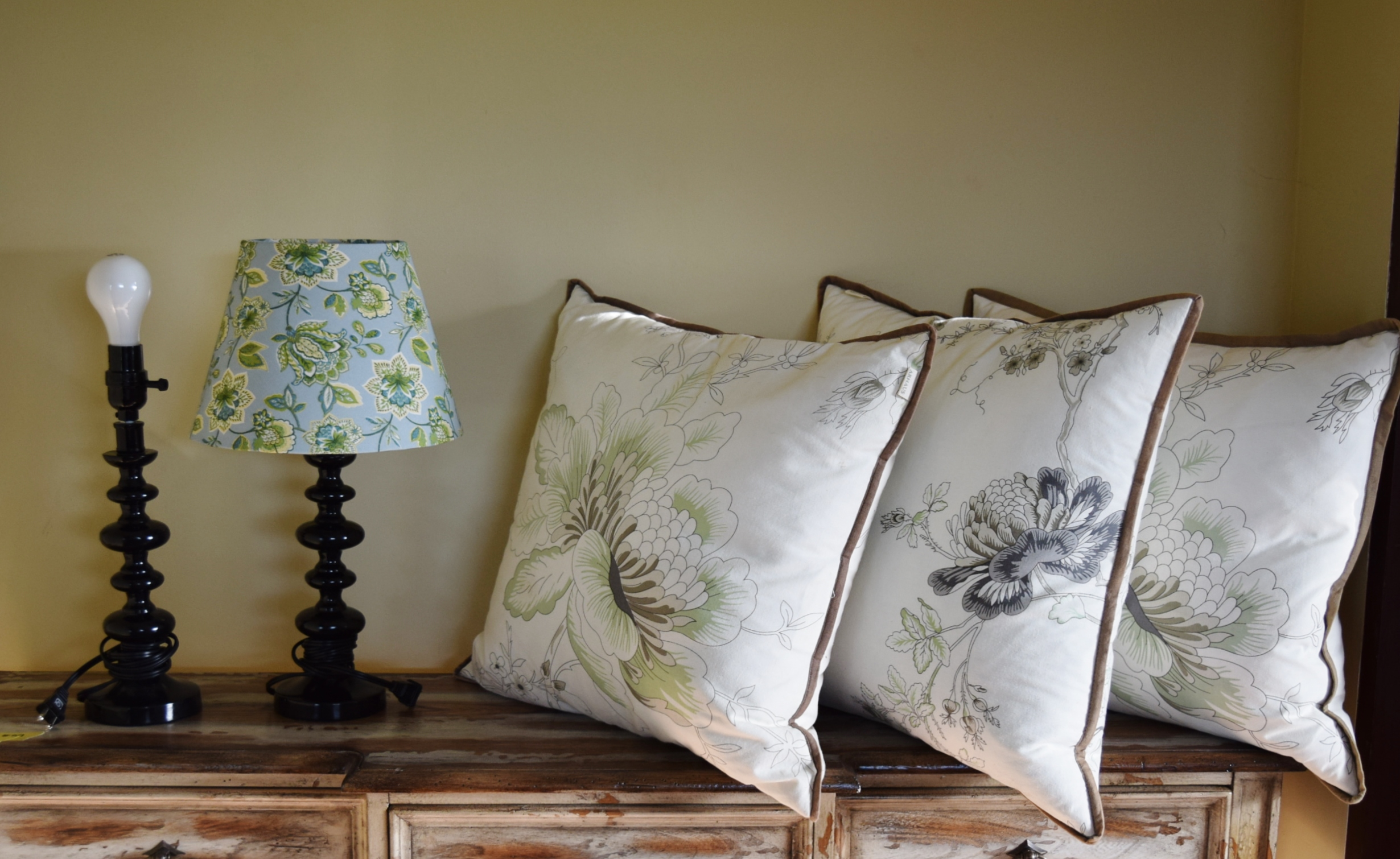 Decorator Pillows and Lamps