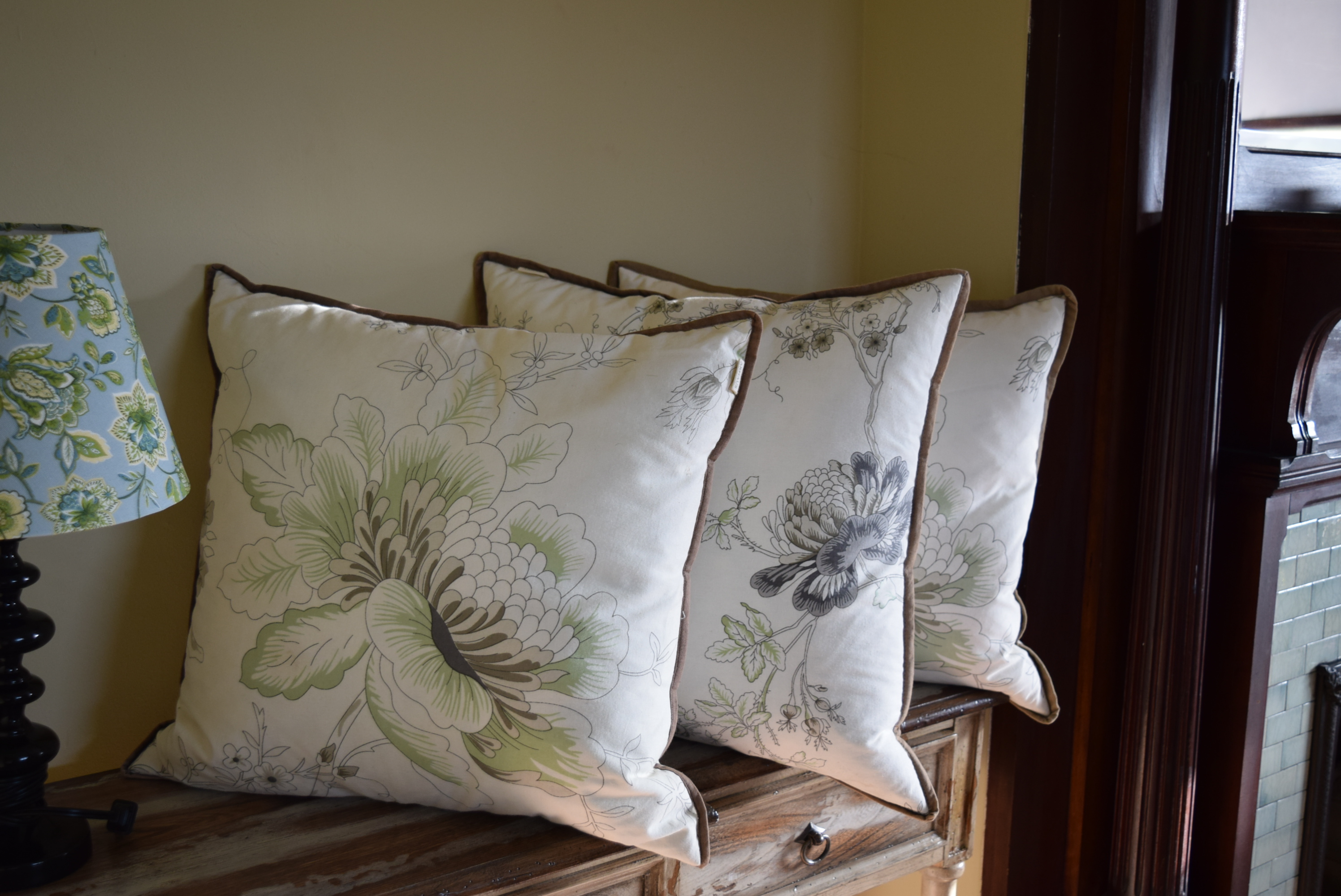 Decorator Pillows and Lamps