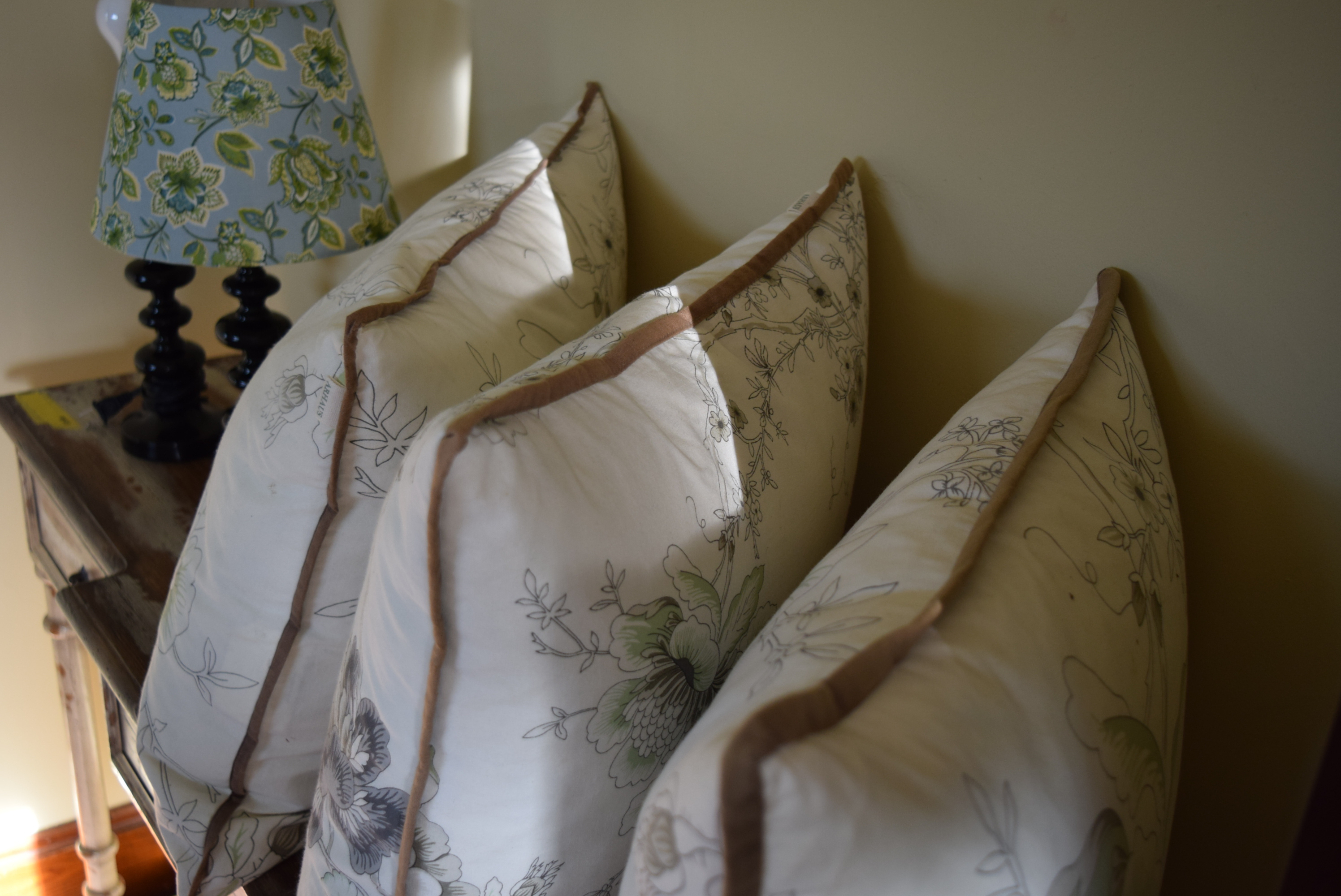 Decorator Pillows and Lamps