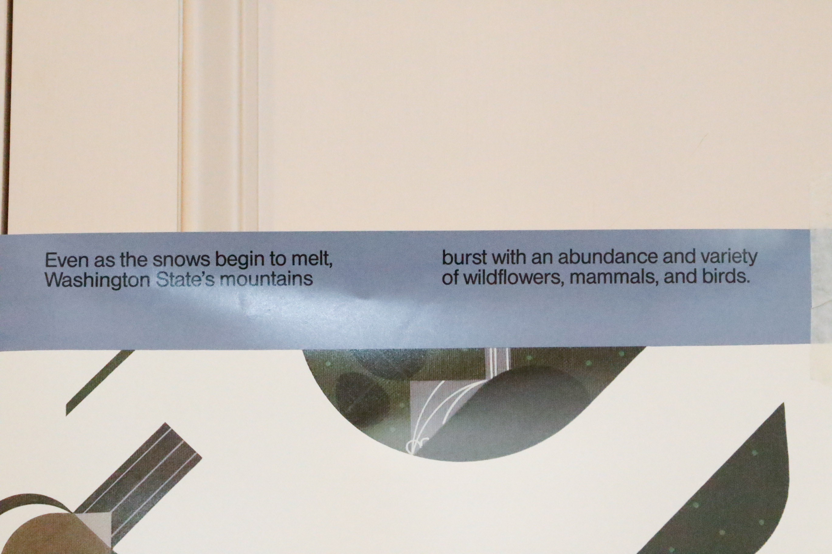 Signed Charley Harper Book and Posters with other Harper Items