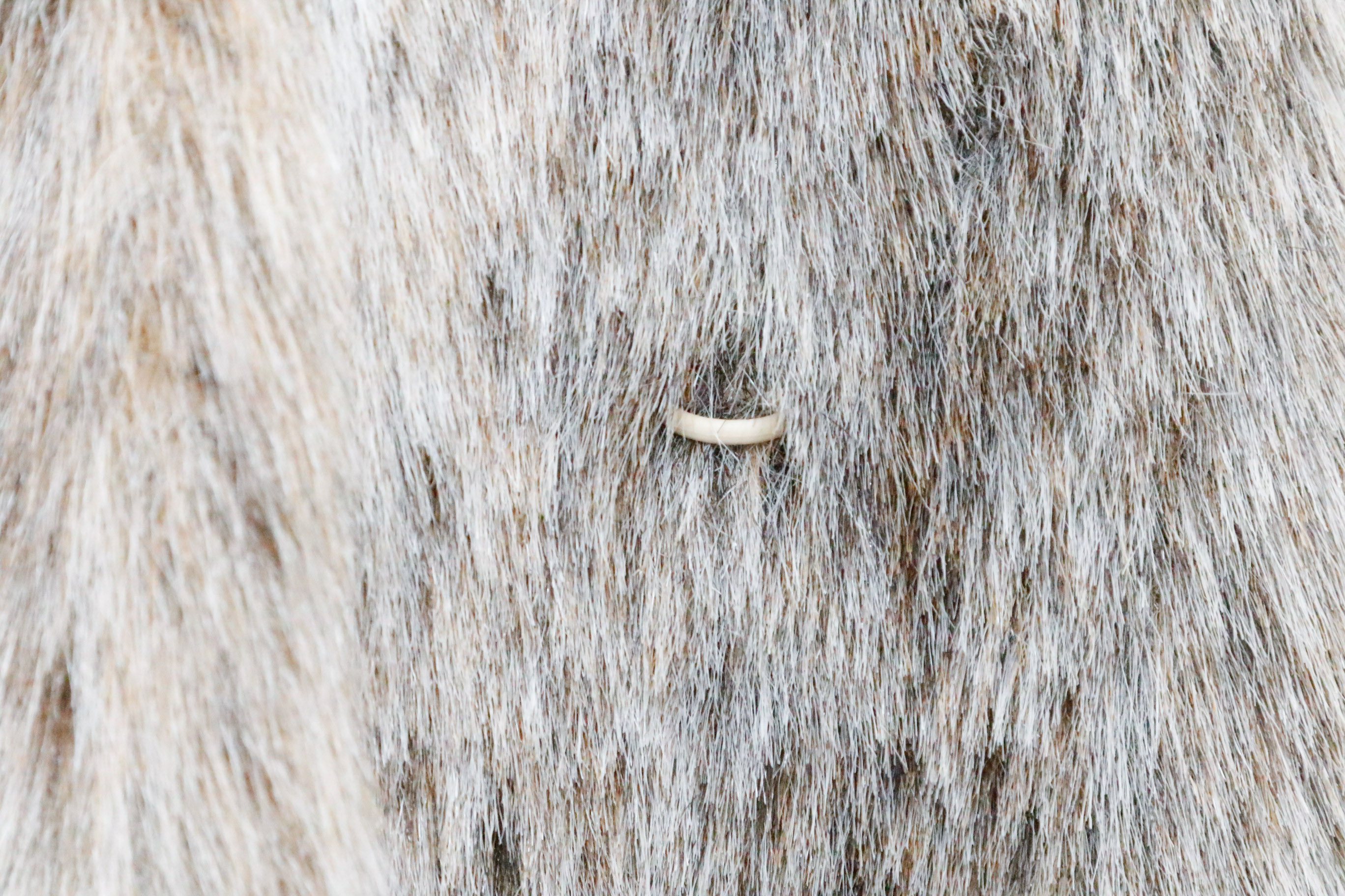 Two Fabulous White and Black Spotted Faux Fur Coats