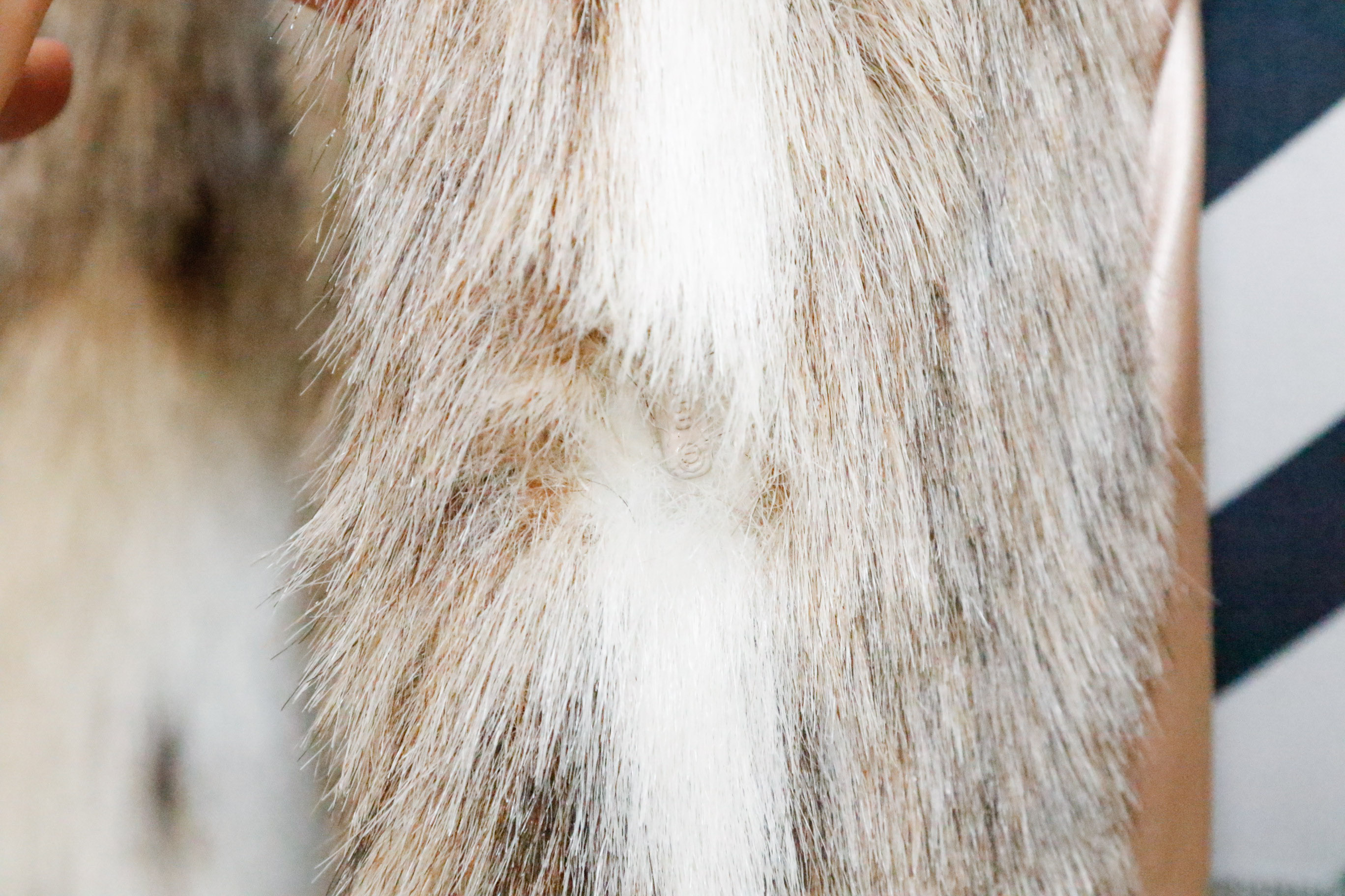 Two Fabulous White and Black Spotted Faux Fur Coats