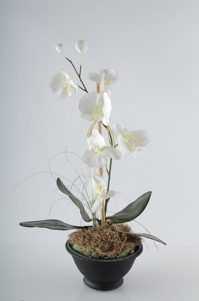 Collection of Assorted Home Adornments