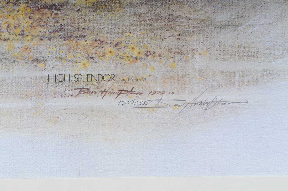 Ben Hampton Limited Edition Print "High Splendor"