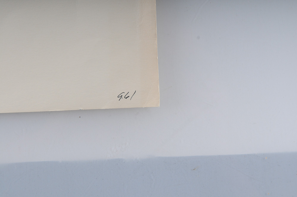 Signed Ben Hampton Limited Edition Print "High Splendor"