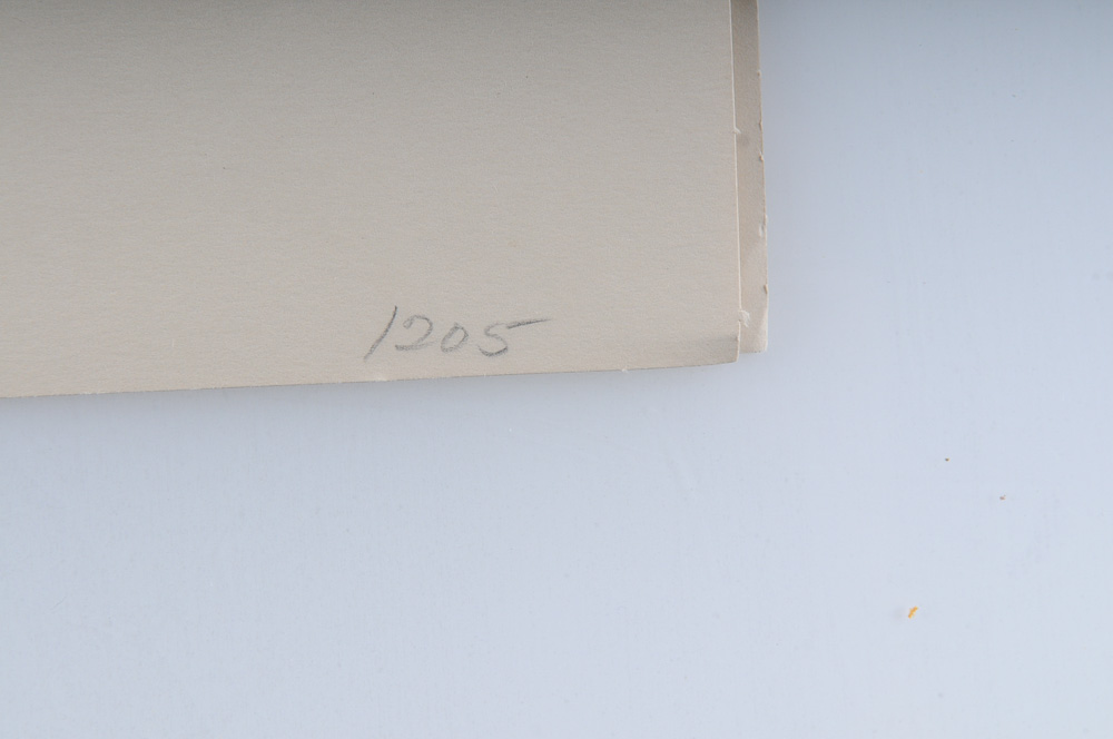 Signed Ben Hampton Limited Edition Print "Daybreak at Chota"