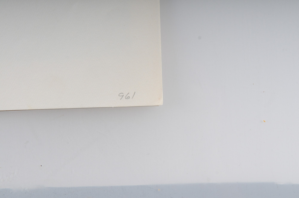 Ben Hampton Limited Edition Print "Blue Ridge"