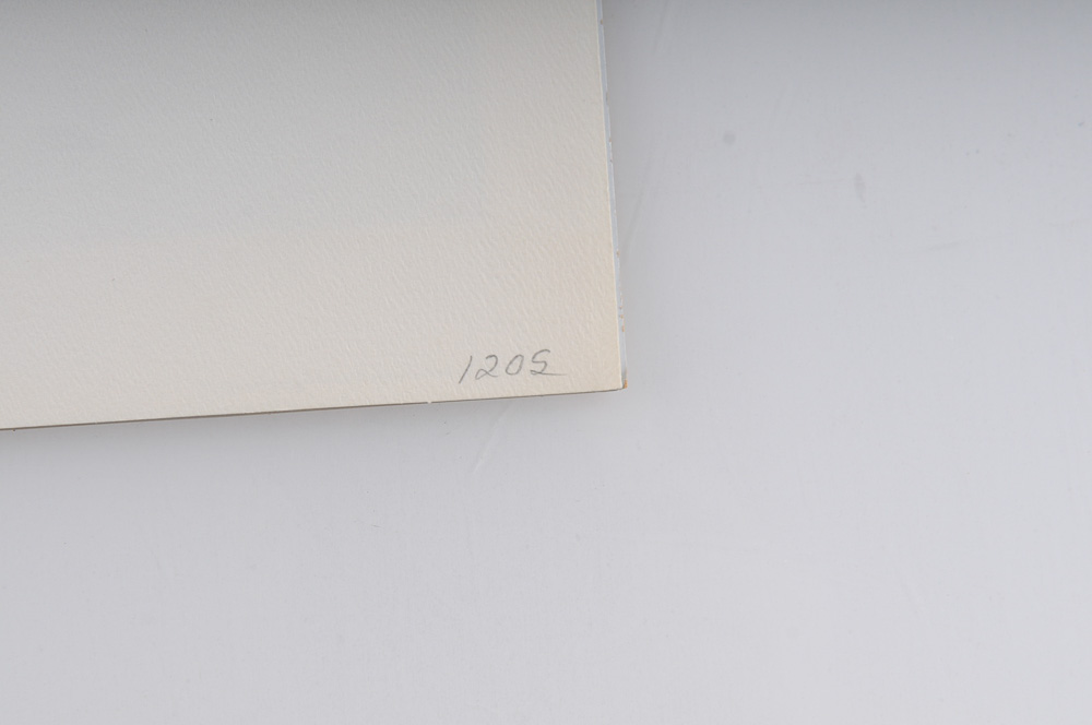 Signed Ben Hampton Limited Edition Print "Blue Ridge"