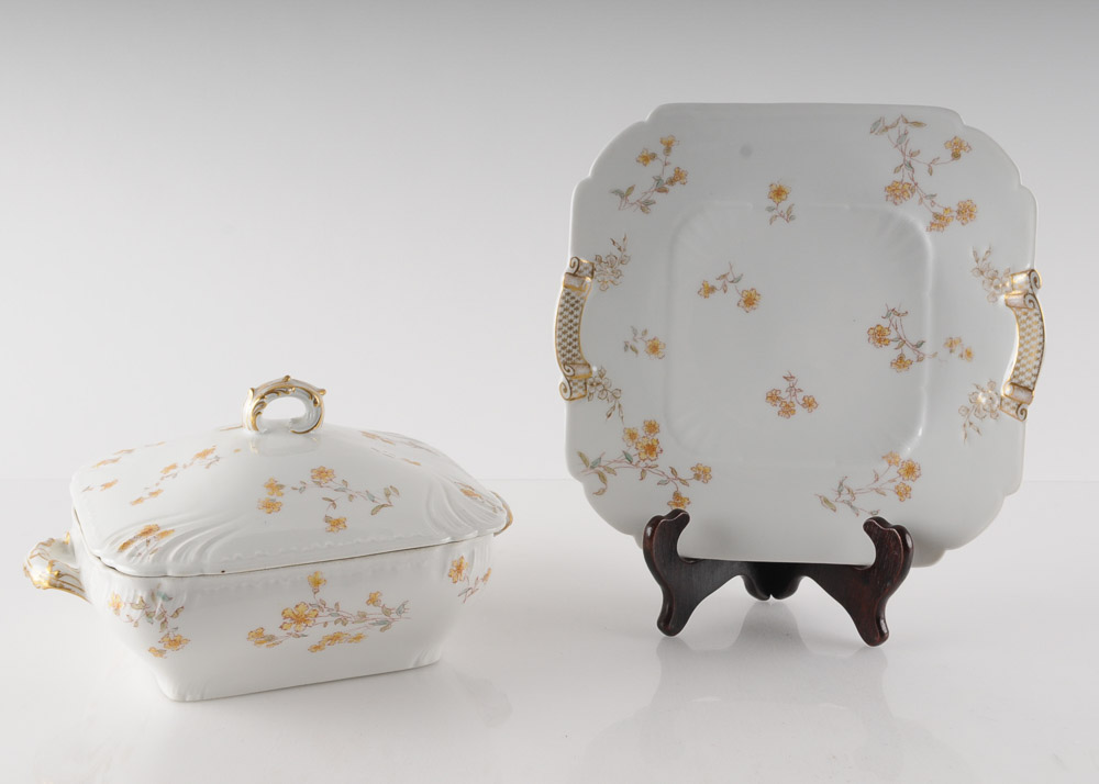 Collection of C.H. Field Haviland Limoges Fine Bone China