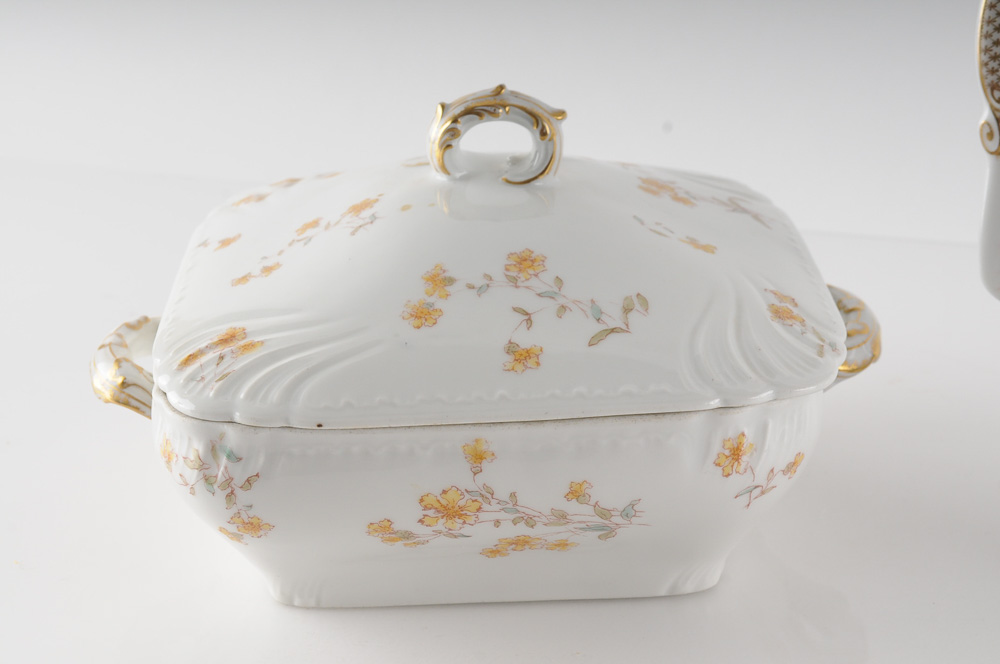 Collection of C.H. Field Haviland Limoges Fine Bone China