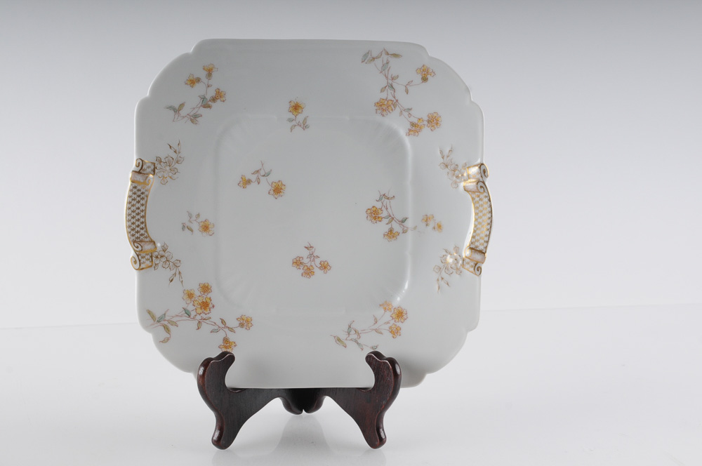 Collection of C.H. Field Haviland Limoges Fine Bone China