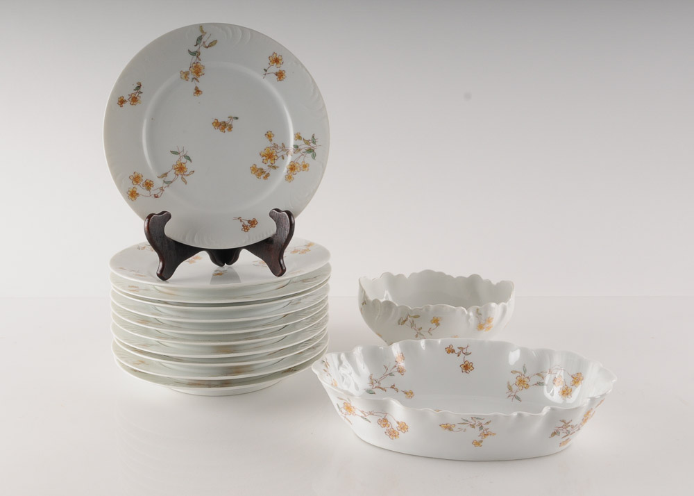 Collection of C.H. Field Haviland Limoges Fine Bone China