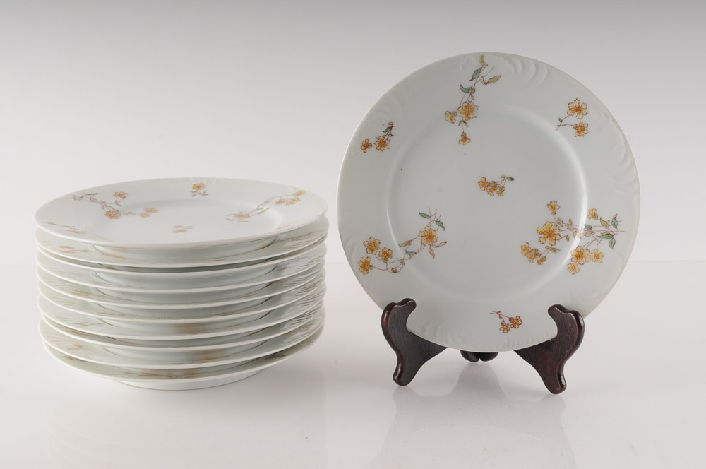 Collection of C.H. Field Haviland Limoges Fine Bone China