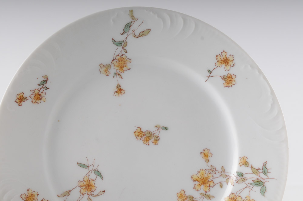 Collection of C.H. Field Haviland Limoges Fine Bone China