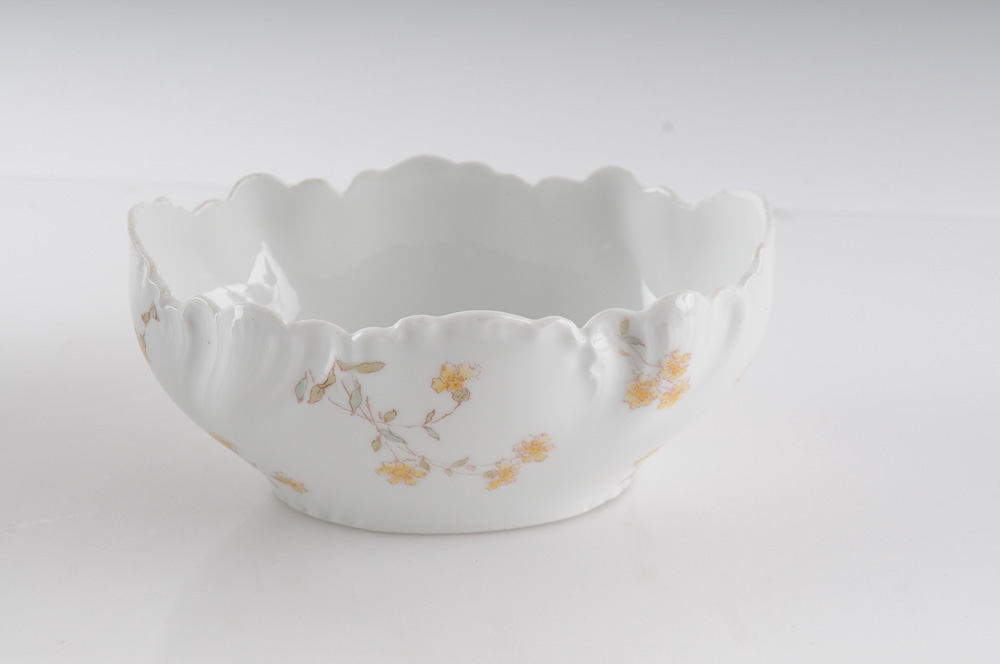 Collection of C.H. Field Haviland Limoges Fine Bone China