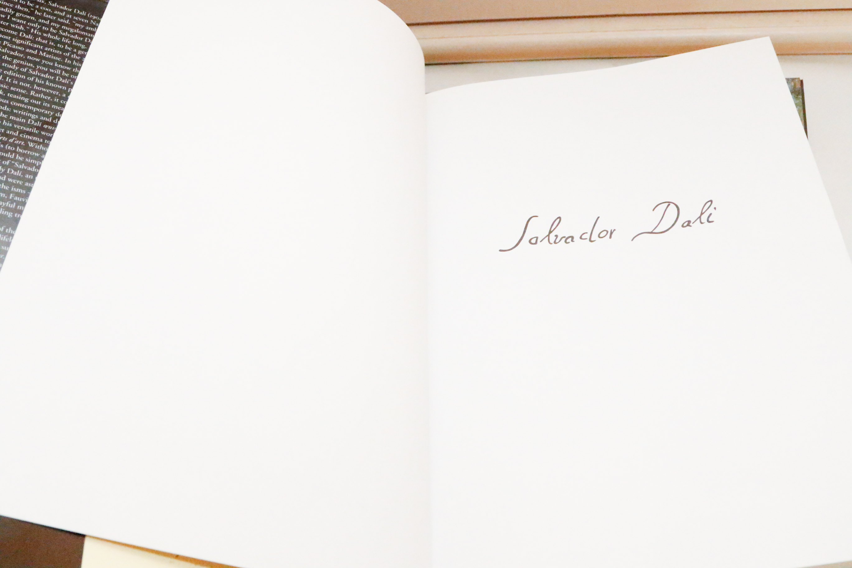 Twelve Large Format Books on Fine Art